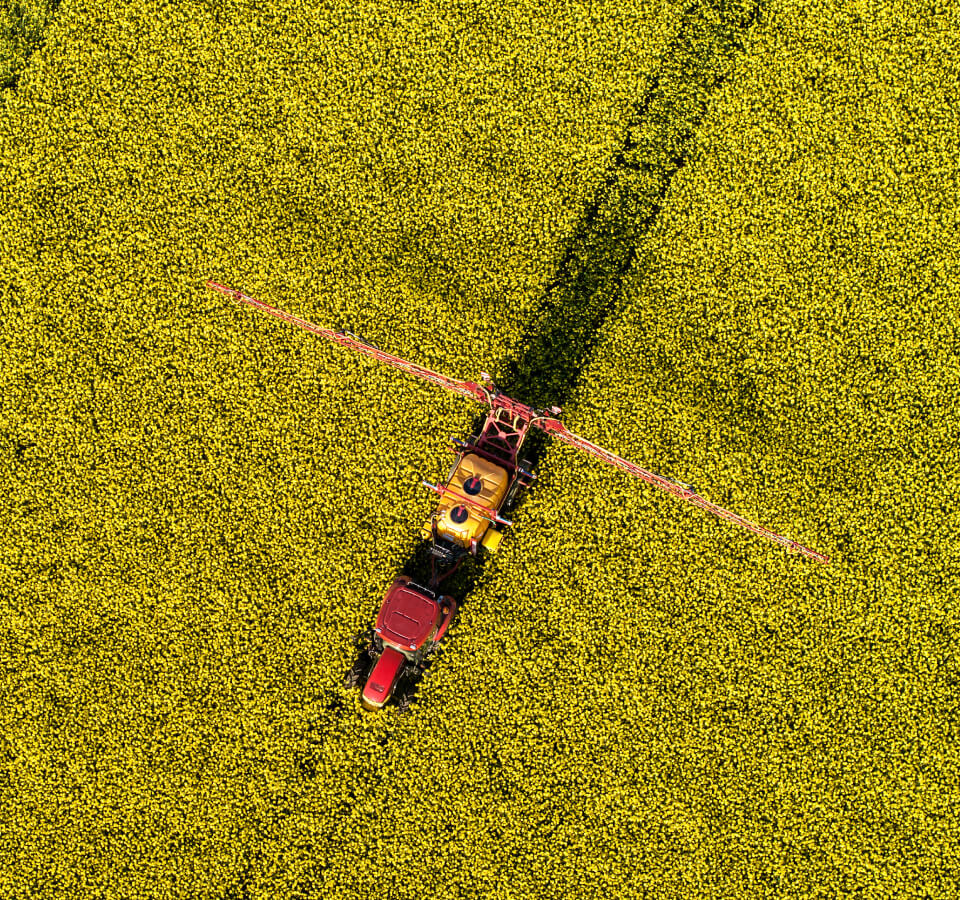 优 选 产 地 优 选 产 地