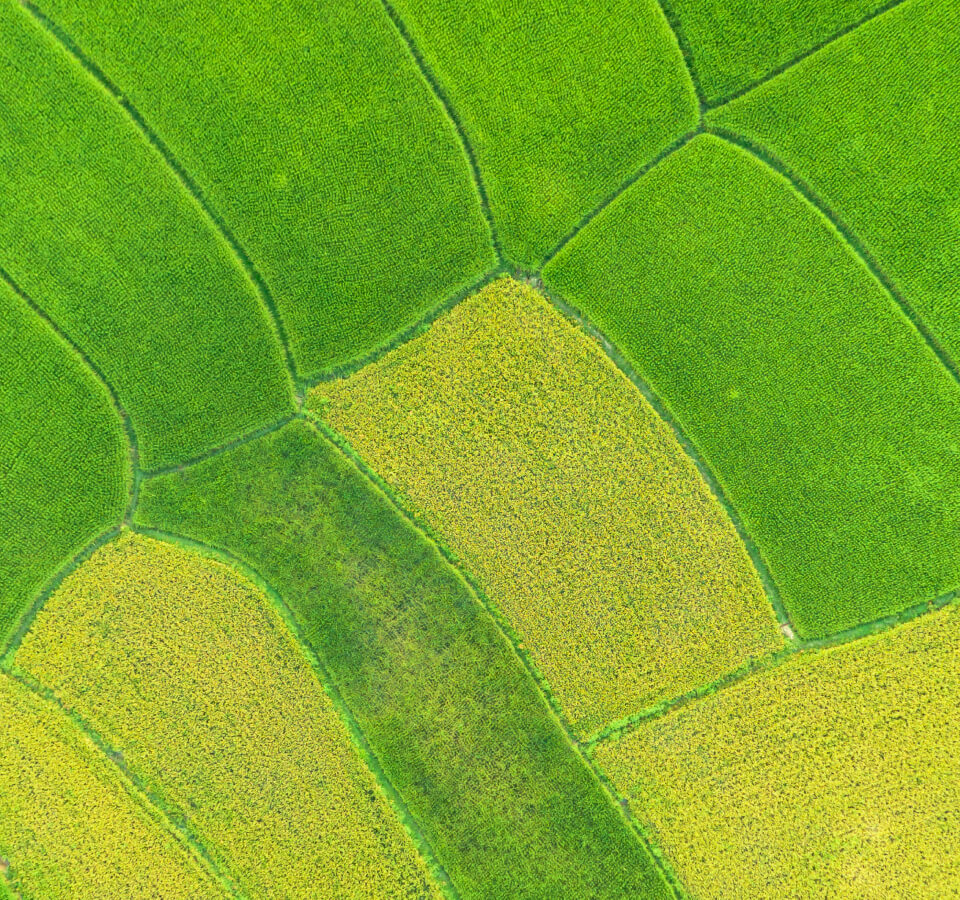 适 宜 气 候 适 宜 气 候